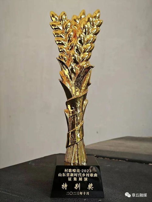 章丘文藝精品創(chuàng)作再結(jié)碩果 幸福笑臉 綻放全省新時(shí)代鄉(xiāng)村歌曲頒獎(jiǎng)晚會(huì)